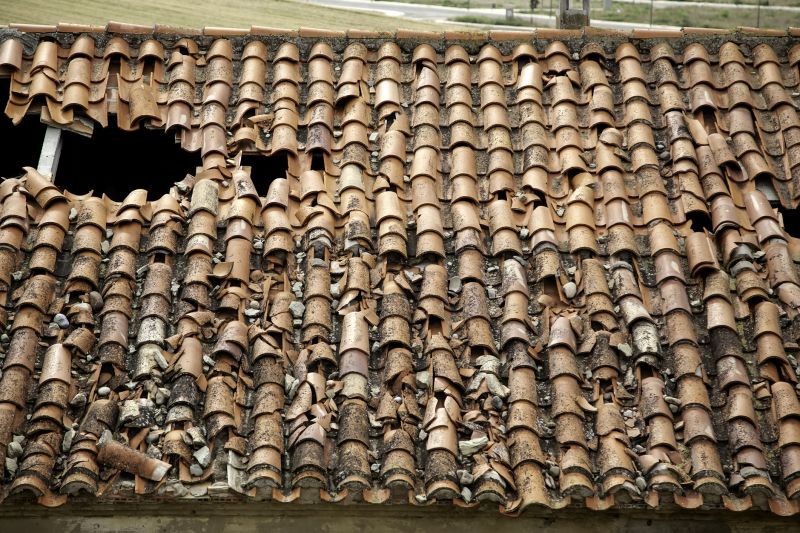 Roof Damage Repair